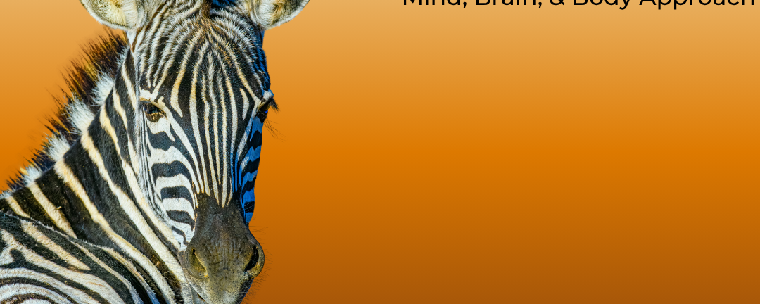 Ehlers-Danlos Syndrome + Hypermobility: A Multi-System Mind, Brain, & Body Approach